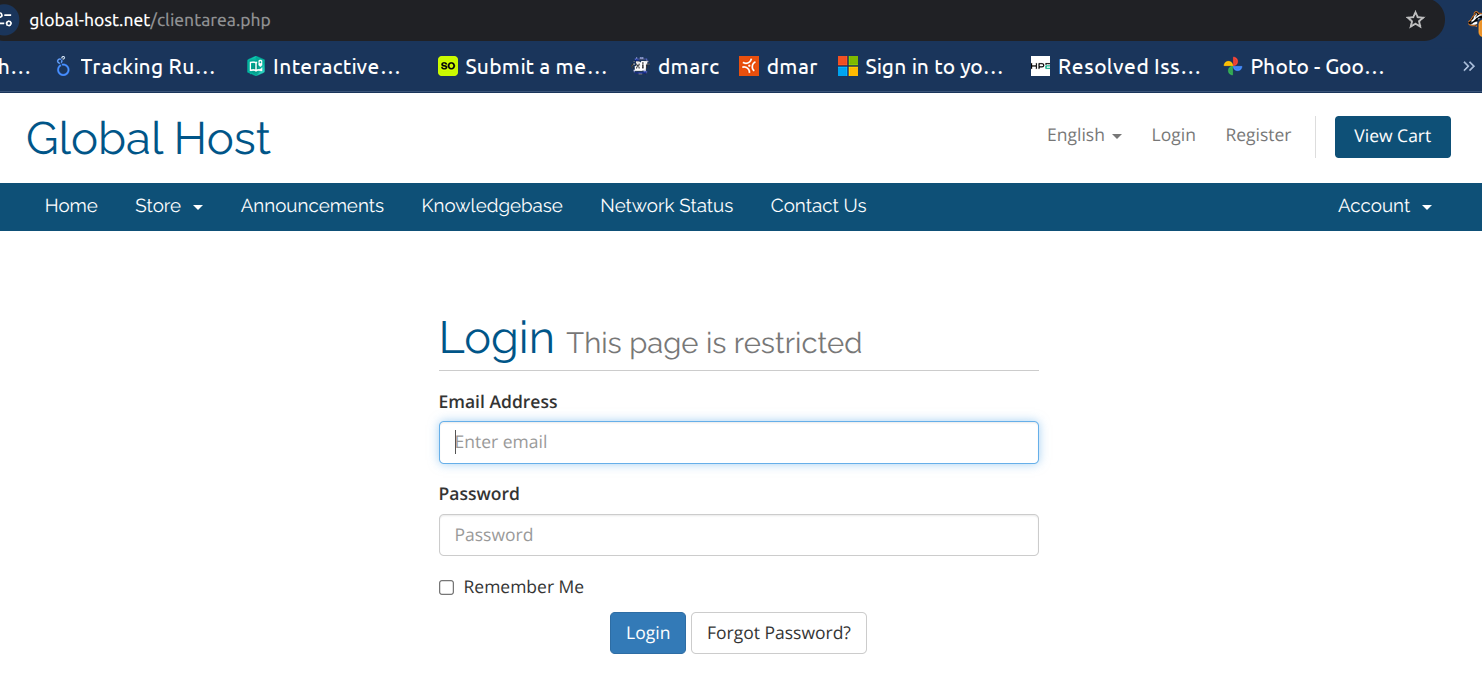 screen shot of web site at global-host.net 
it looks exactly like the one for mholding.biz
